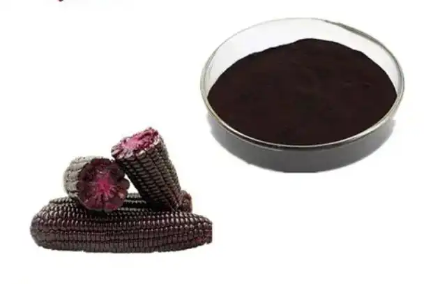 Purple Corn Extract Powder Anthocyanidins 10% Purple Corn Extract Powder Anthocyanidins 10%